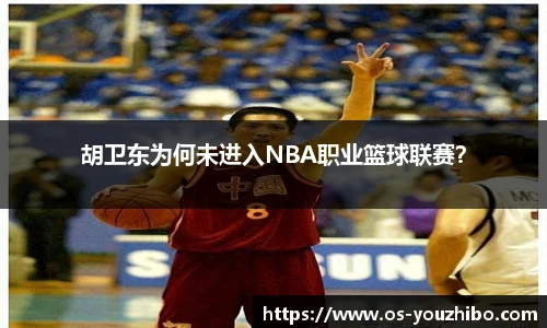 胡卫东为何未进入NBA职业篮球联赛？