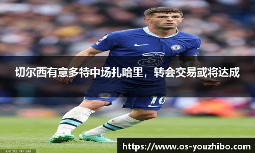 切尔西有意多特中场扎哈里，转会交易或将达成