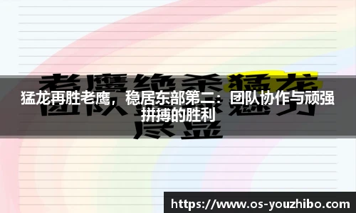 猛龙再胜老鹰，稳居东部第二：团队协作与顽强拼搏的胜利